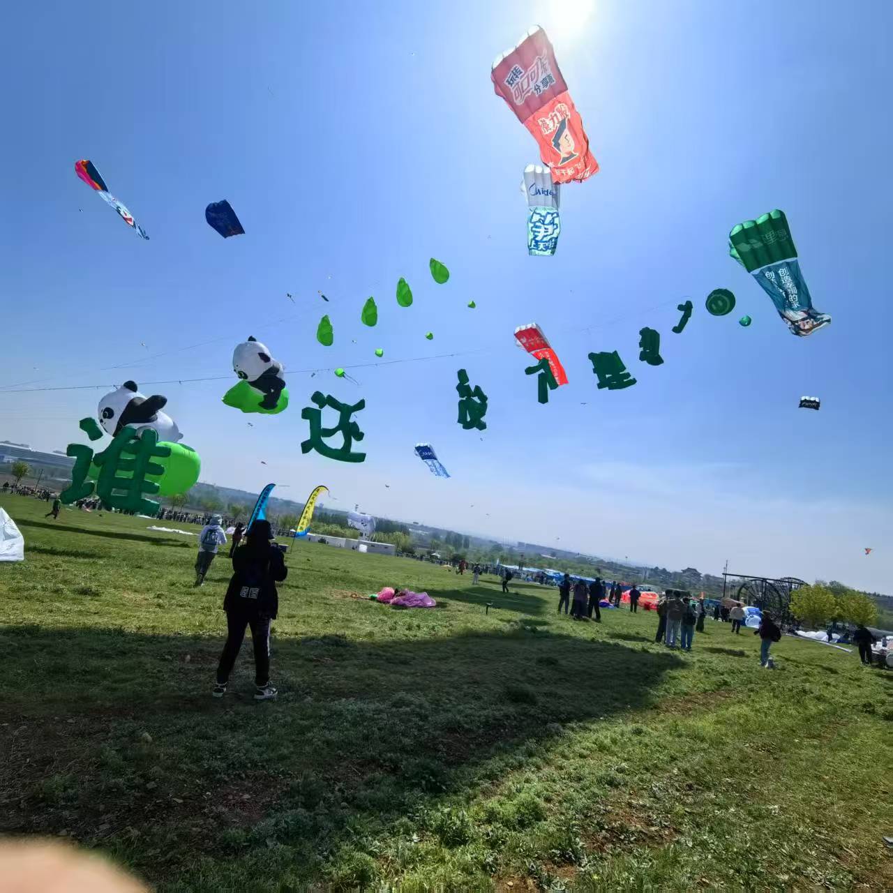 梧州市风筝加工风筝定制 - 一站式服务
